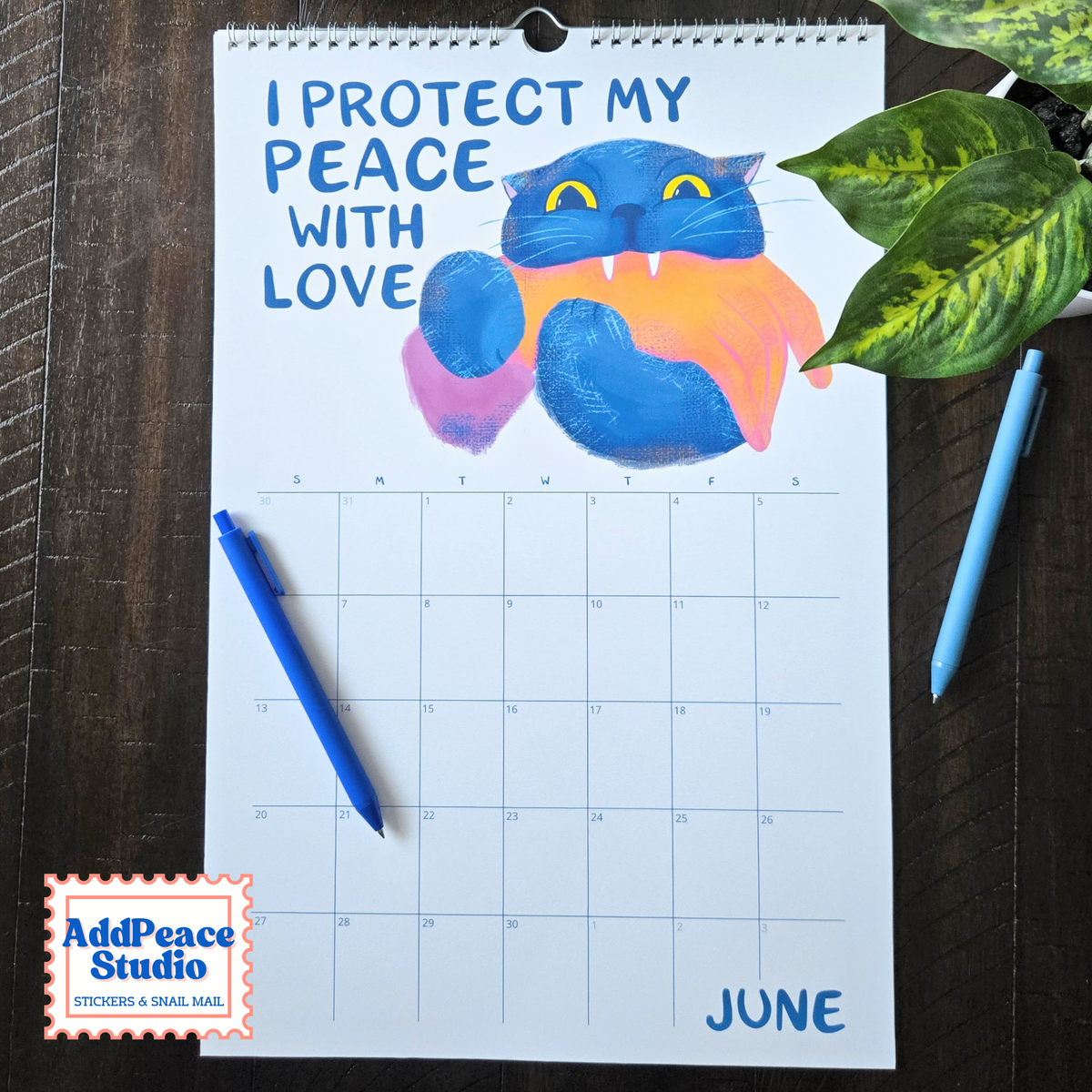2027 Meowtivational Cat Affirmation Wall Calendar