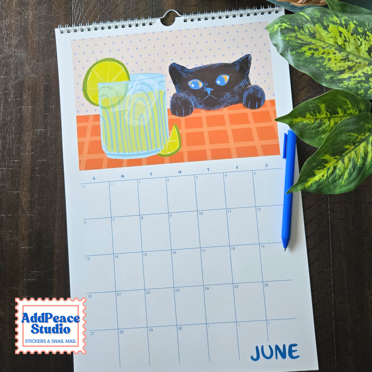 2027 Cats and Cups Wall Calendar