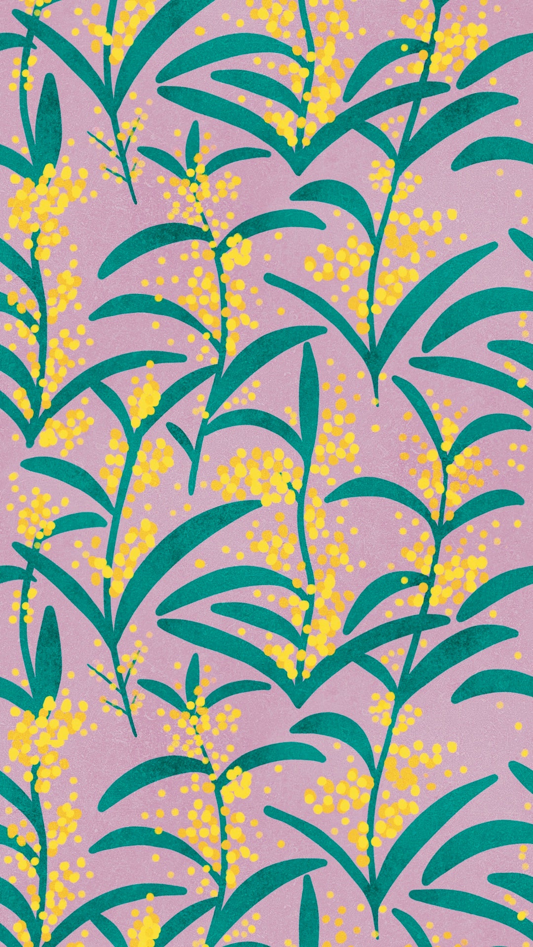 Wattle Phone Wallpaper