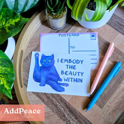 Funny Cat Affirmations 10 Postcard Set